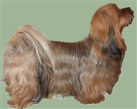 Smedtj&auml;rns Vilda