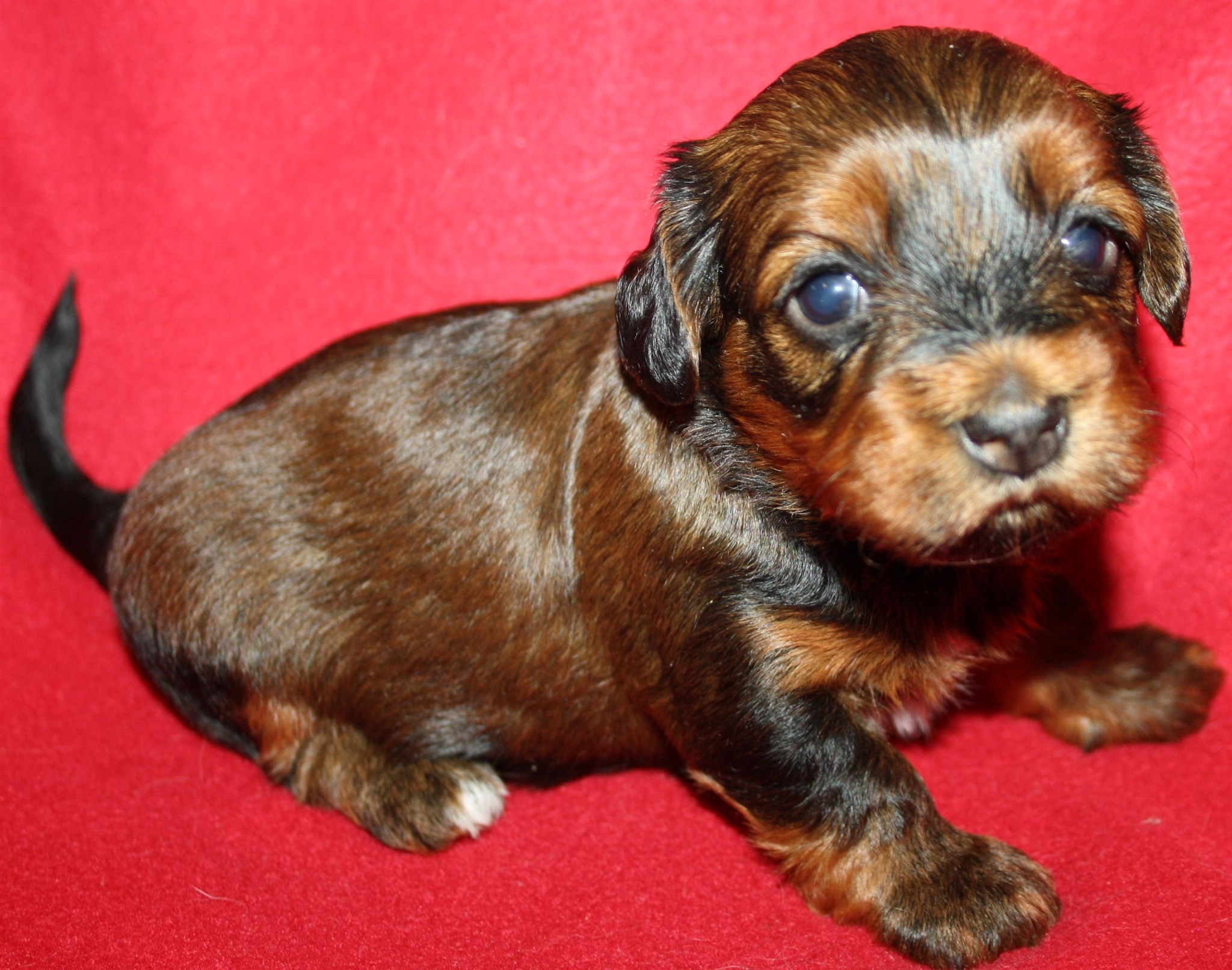 IMG_0043 tik 2 Astrid 3v Hem.JPG