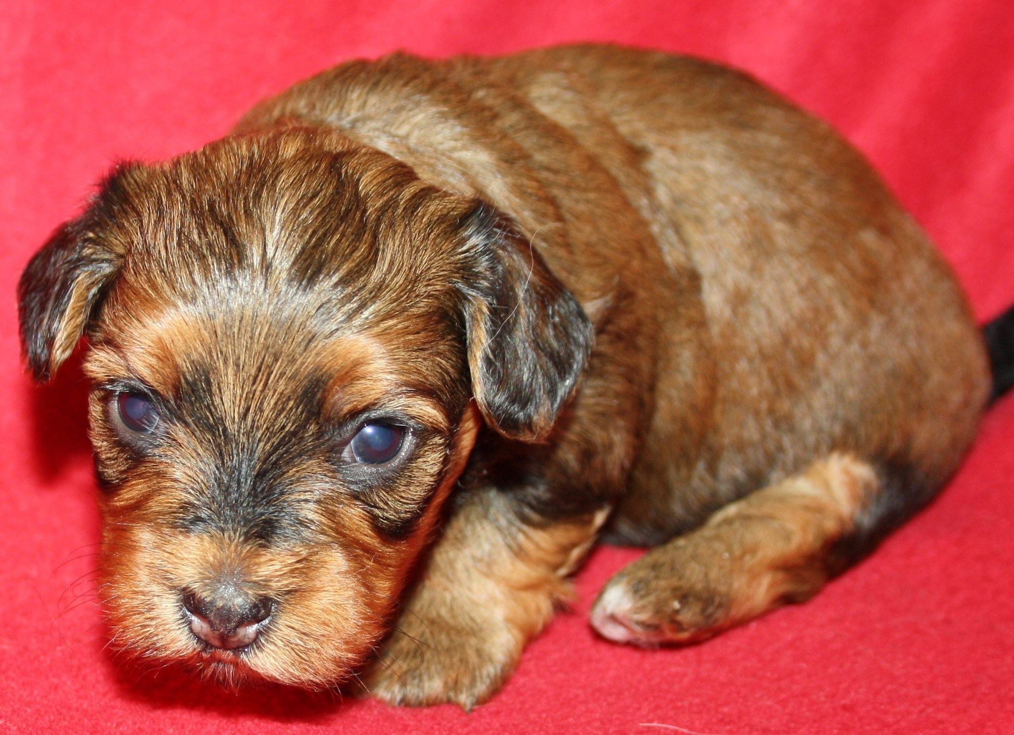 IMG_0054 Tik 3 Anna 3v Hem.JPG