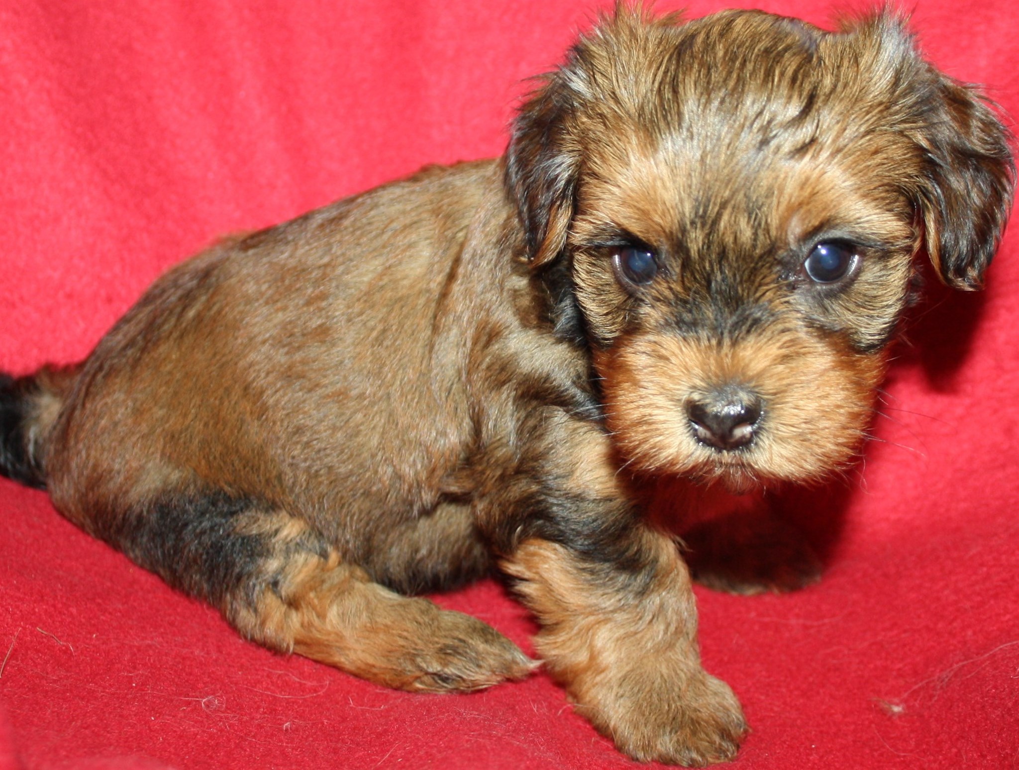 IMG_0170 Tik 3 Anna 3v hem.JPG