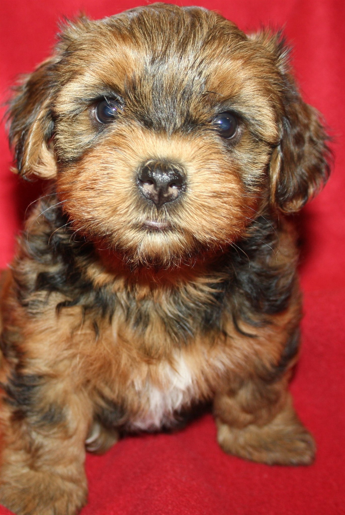 IMG_0224 Tik 3 Anna 6v hem.JPG