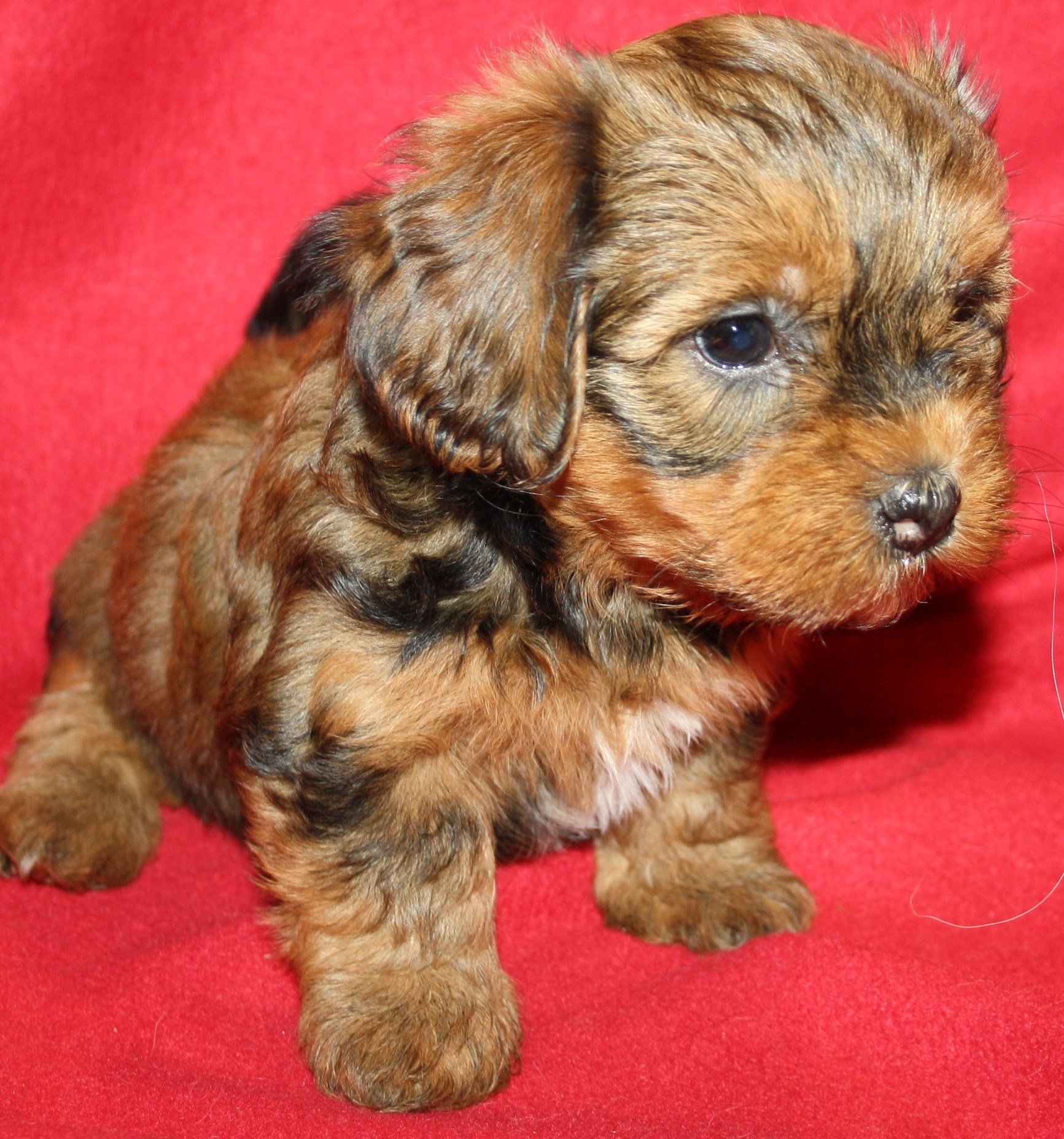 IMG_0228 Tik 3 Anna hem.JPG