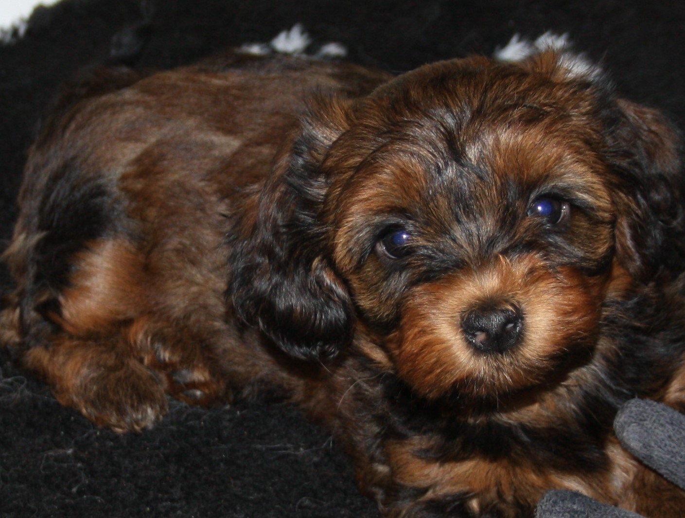 IMG_0269 Astrid 7v hem.JPG