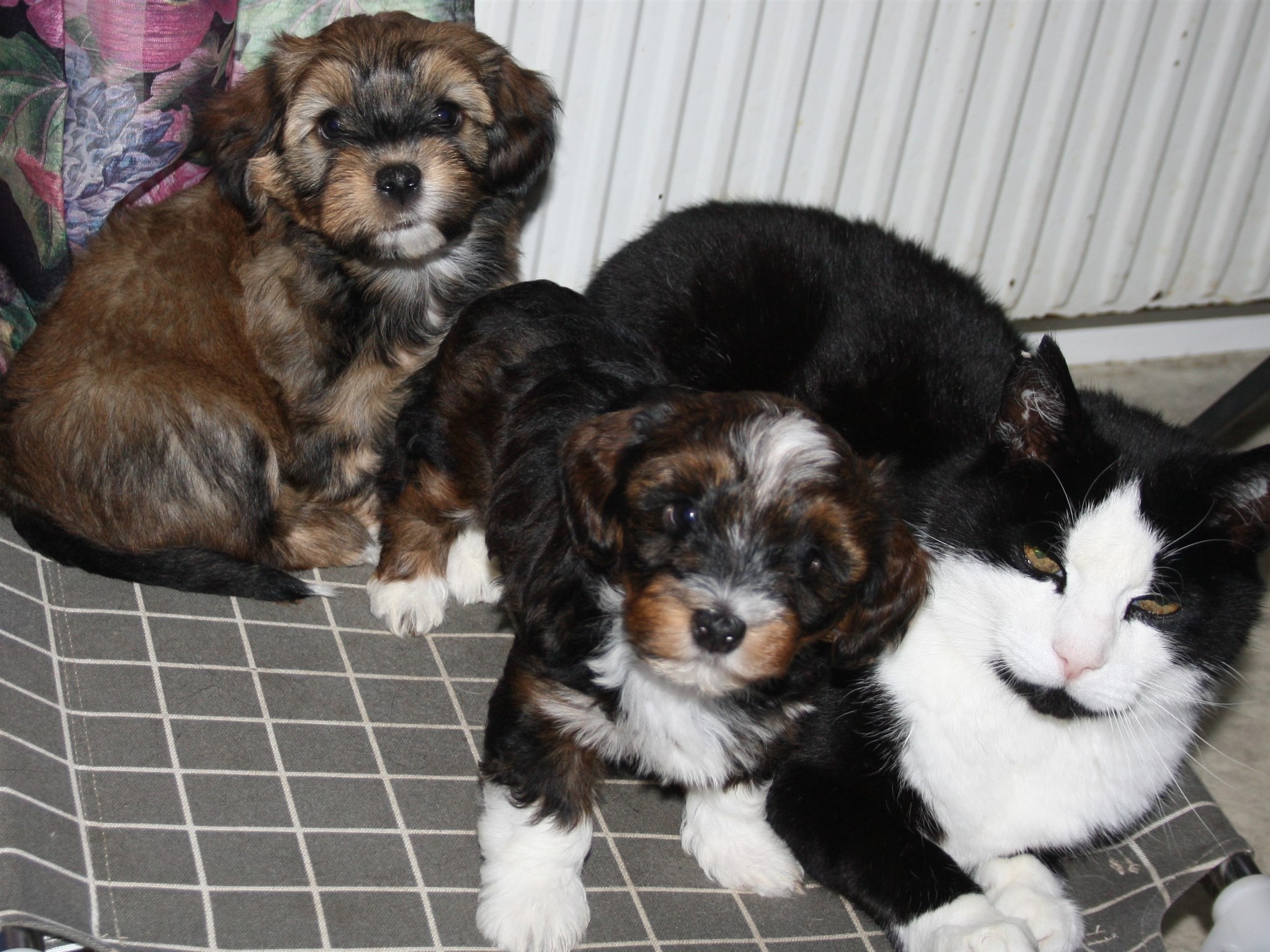 IMG_0281 Albin o Anna Hem.JPG