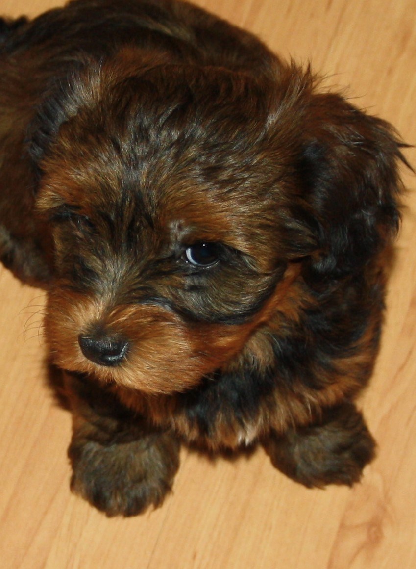 IMG_0294 Astrid 8v.JPG