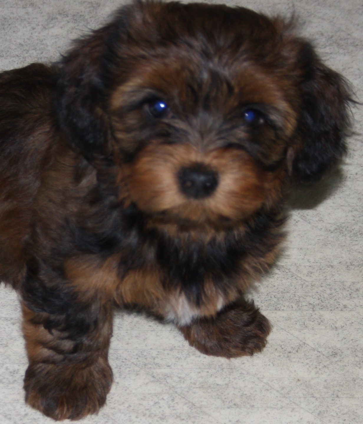 IMG_0299 Astrid 8v.JPG