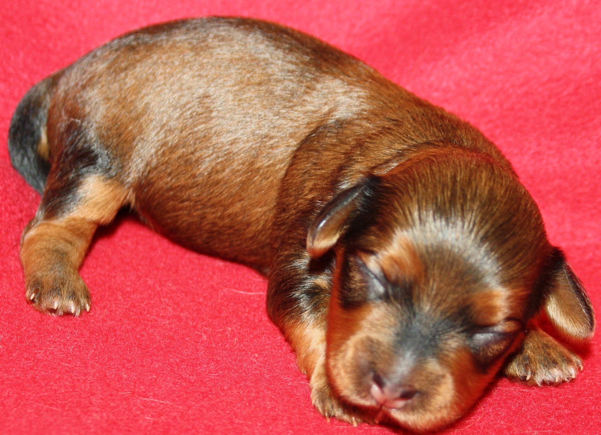 IMG_9950 Tik 3 Anna 1 v Hem.JPG