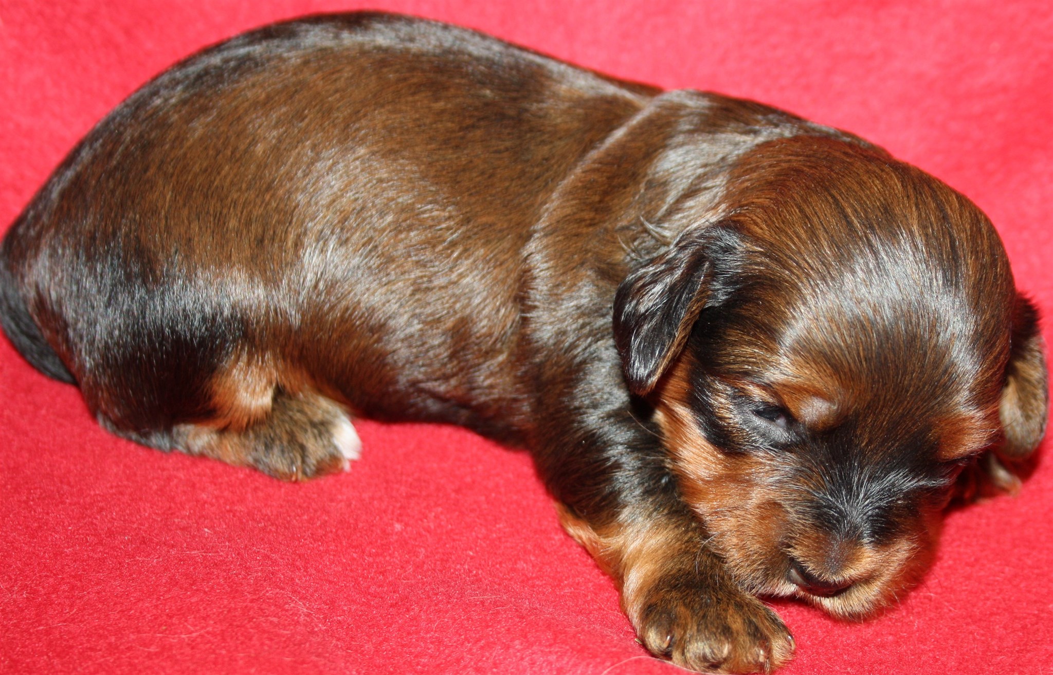 IMG_9959 Tik 2 Astrid 2v Hem.JPG