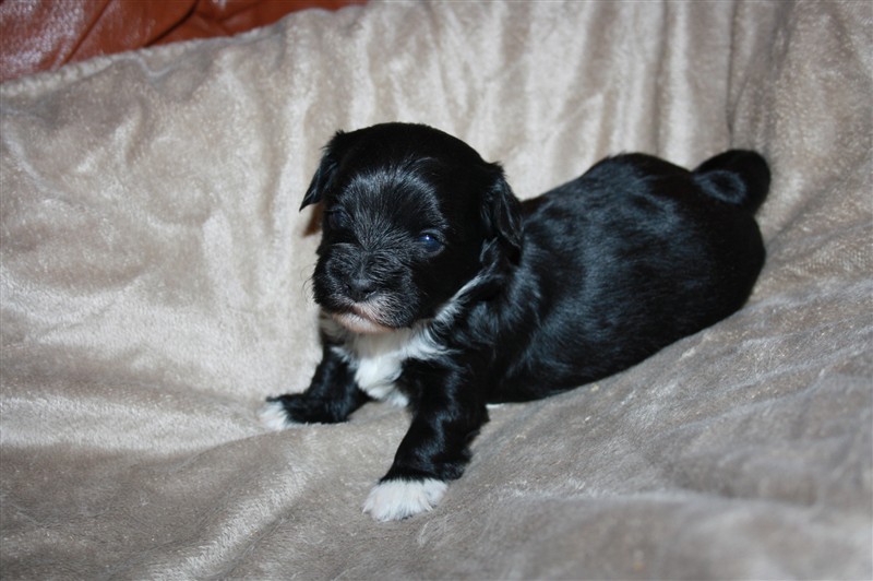 edith h 3 v 018.JPG