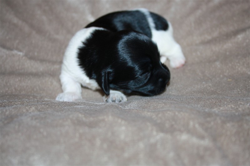 elton john003.JPG