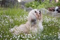 _DSC0683.jpg