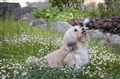 _DSC0691.jpg